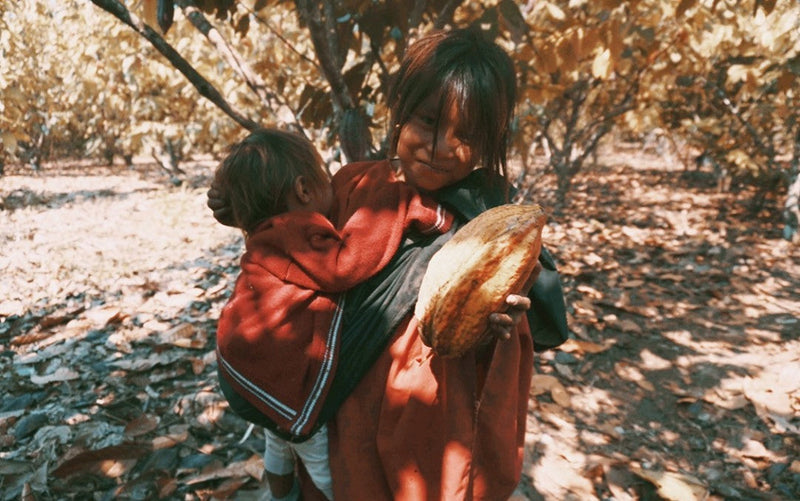 The Ashaninka: A Way of Life