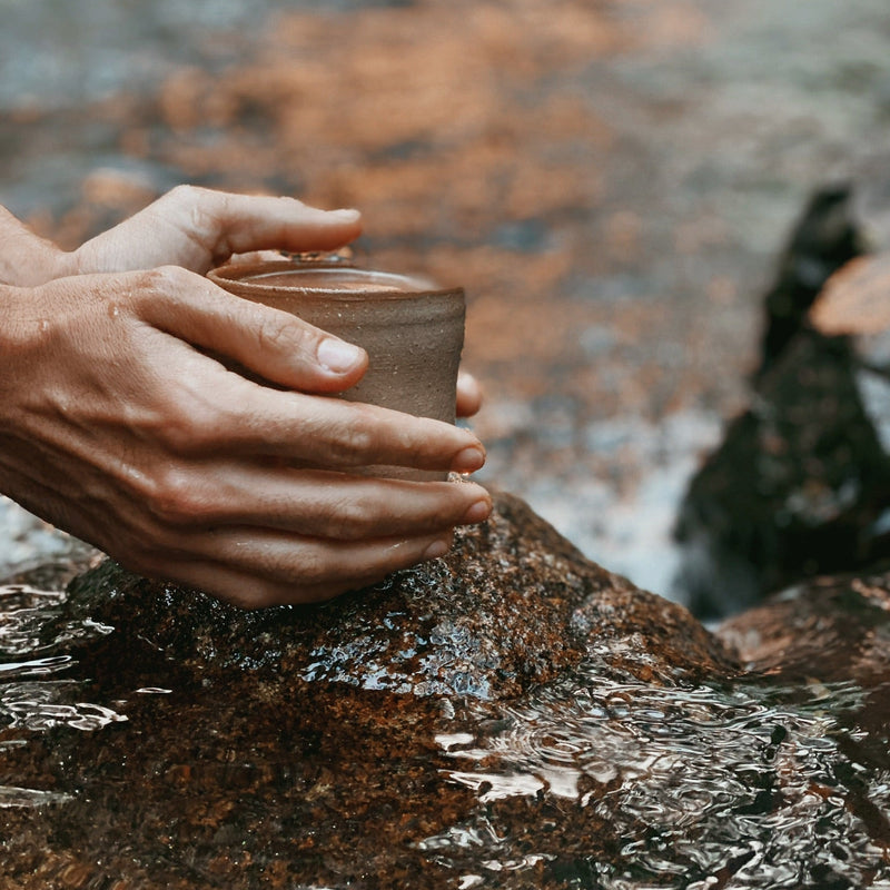 10 Things You Didn’t Know About Cacao