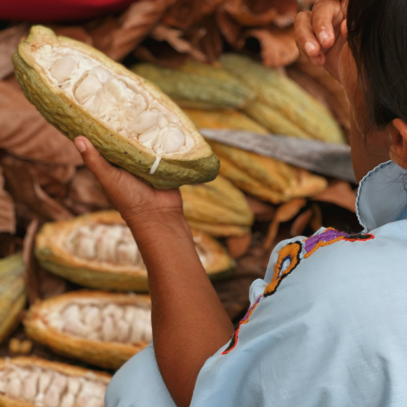 Cacao Vs Cocoa: Nutritional Benefits