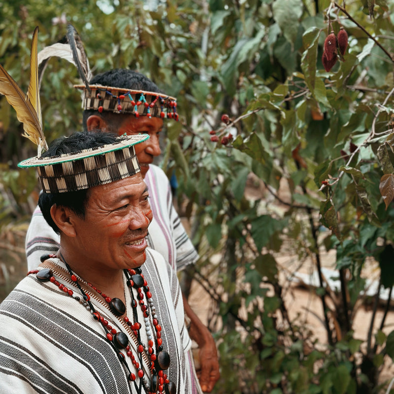 The Origins of Cacao: What Everyone Should Know