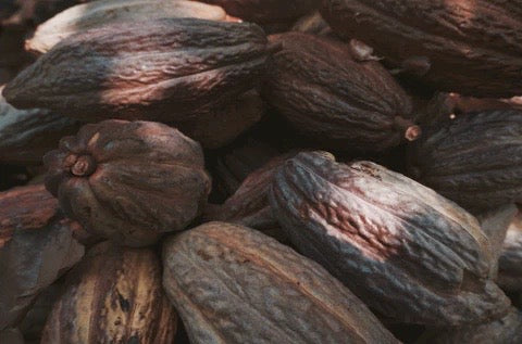 Raw Cacao Health Benefits