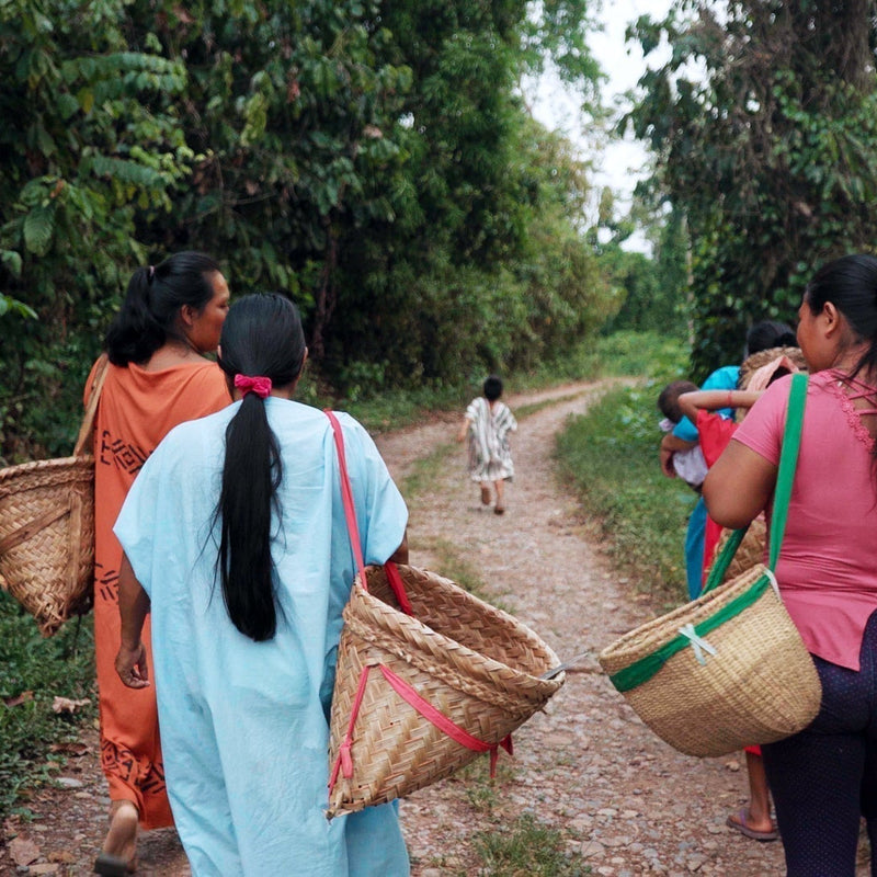 Meet the Ashaninka: Guardians of the Amazon Rainforest