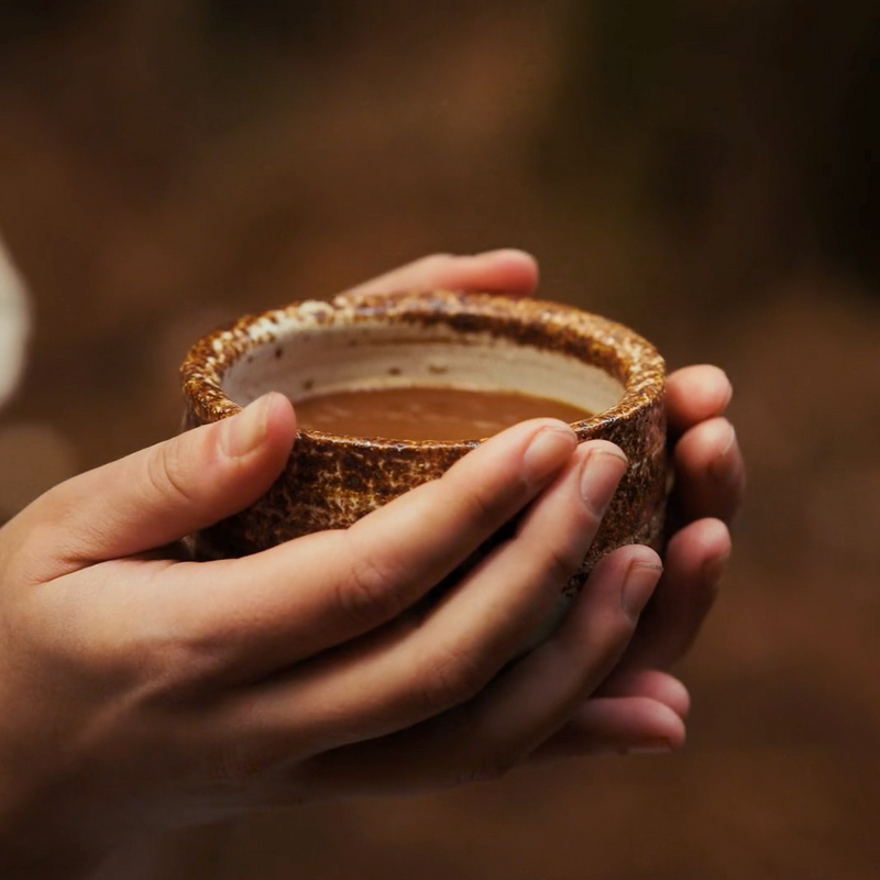 The Rising Pricing of Cacao